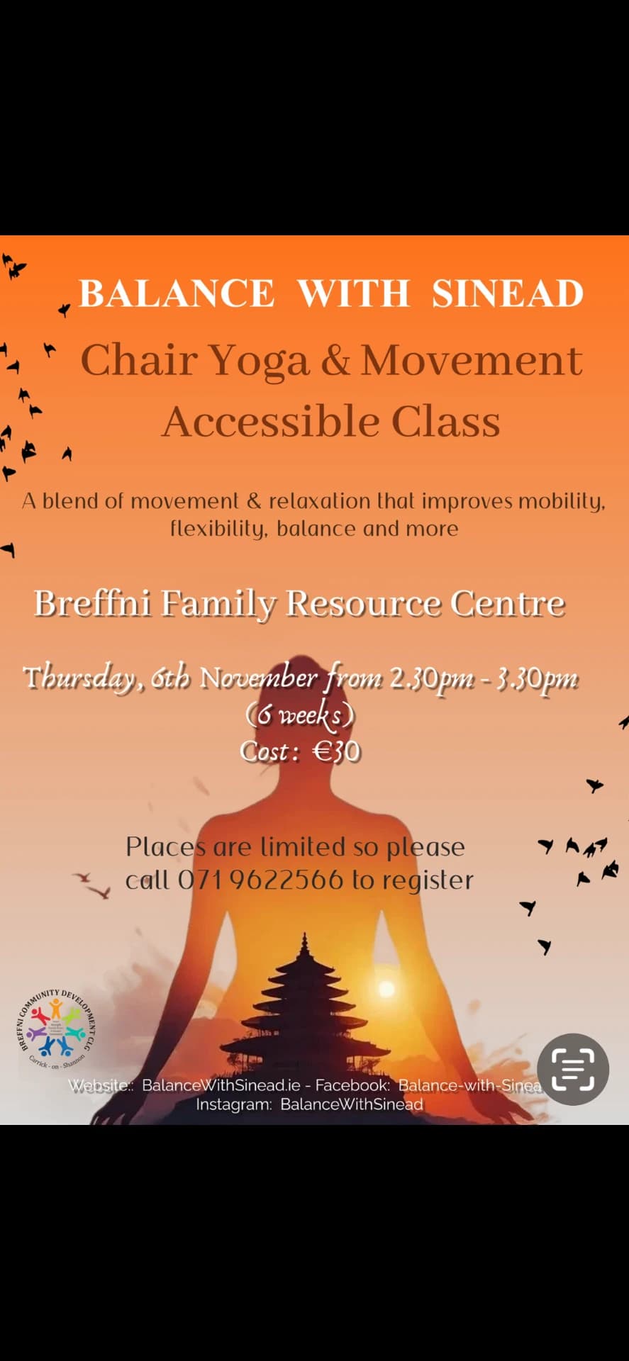 Chair Yoga & Movement - accessible class